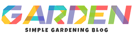 Hilclimbracingapk Foliage