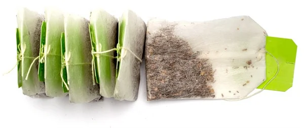 How to Use Seed Stratifying Methods: Wet vs Dry Cold